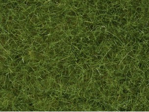 Wildgras hellgrün, 6 mm, 50 g
