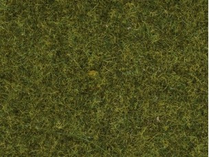 Streugras Wiese 1,5 mm, 20 g