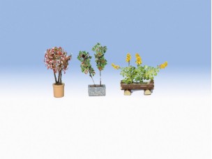 Zierpflanzen in Blumenkübeln